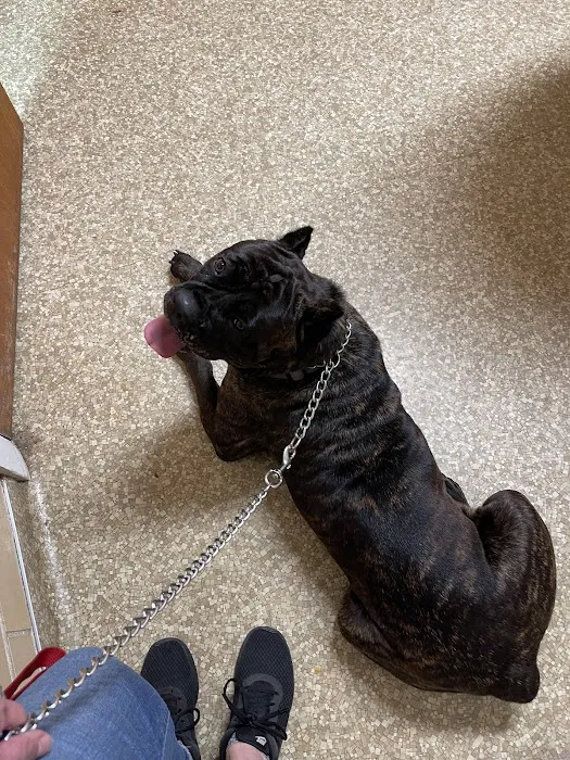 Ridglea Animal Hospital Picture 5