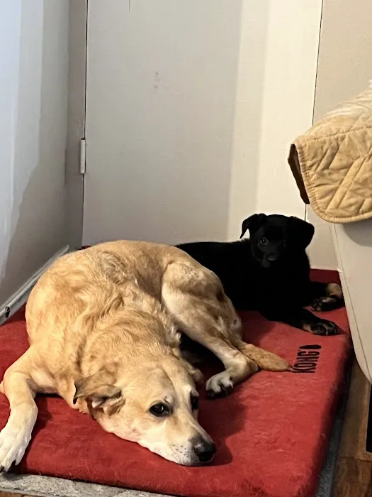 Ridglea Animal Hospital Picture 10