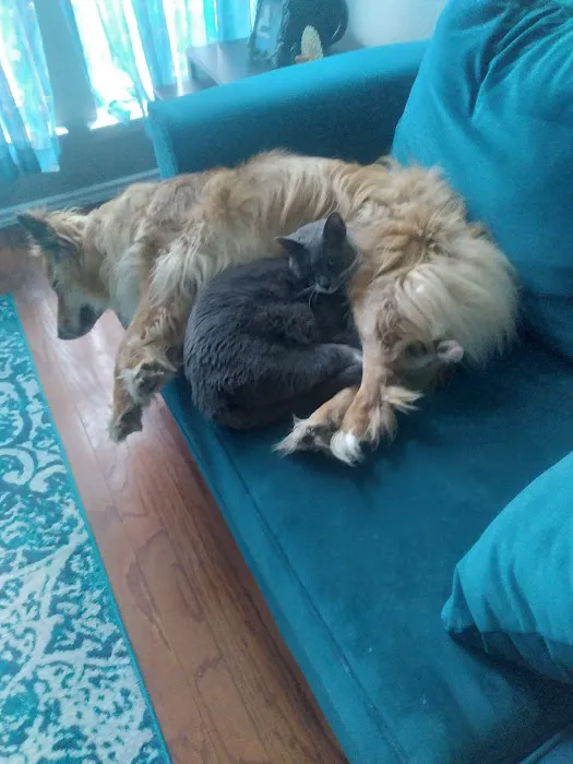Banfield Pet Hospital Picture 2