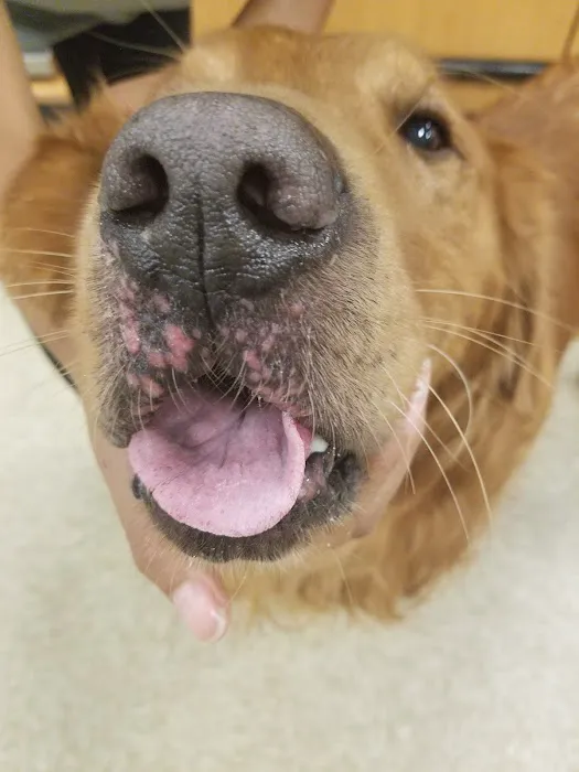 Banfield Pet Hospital Picture 3