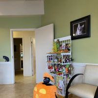 The Cat's Meow Veterinary Hospital ico