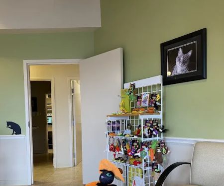 The Cat's Meow Veterinary Hospital