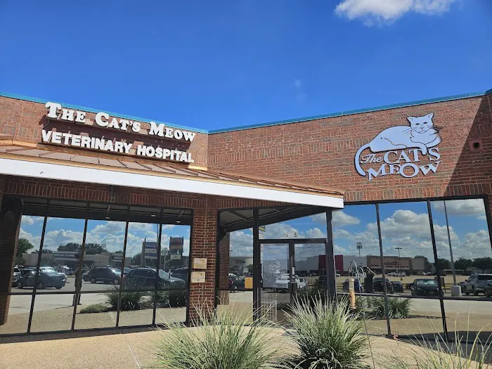 The Cat's Meow Veterinary Hospital Picture 6