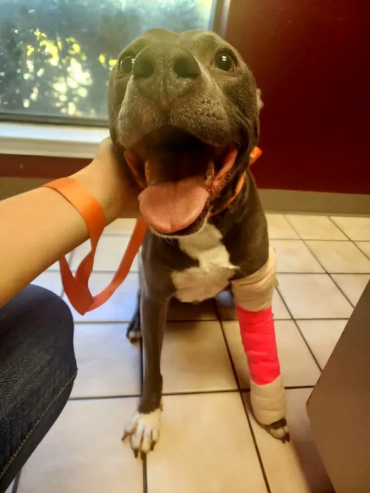 Westcreek Animal Clinic: Gumfory Larry DVM Picture 2