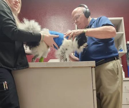 Westcreek Animal Clinic: Gumfory Larry DVM