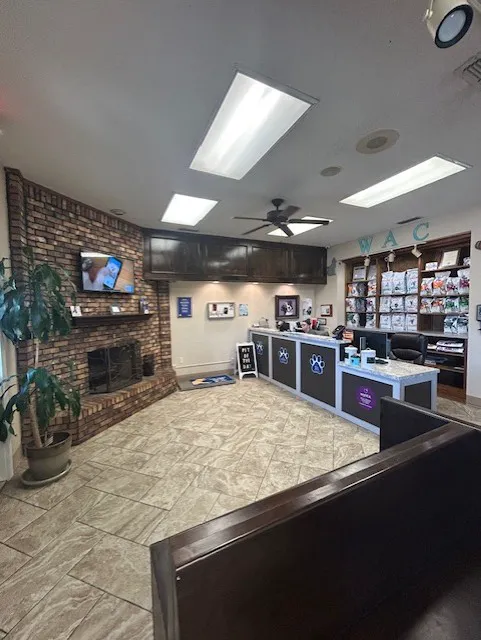 VCA Westcreek Animal Hospital Picture 5