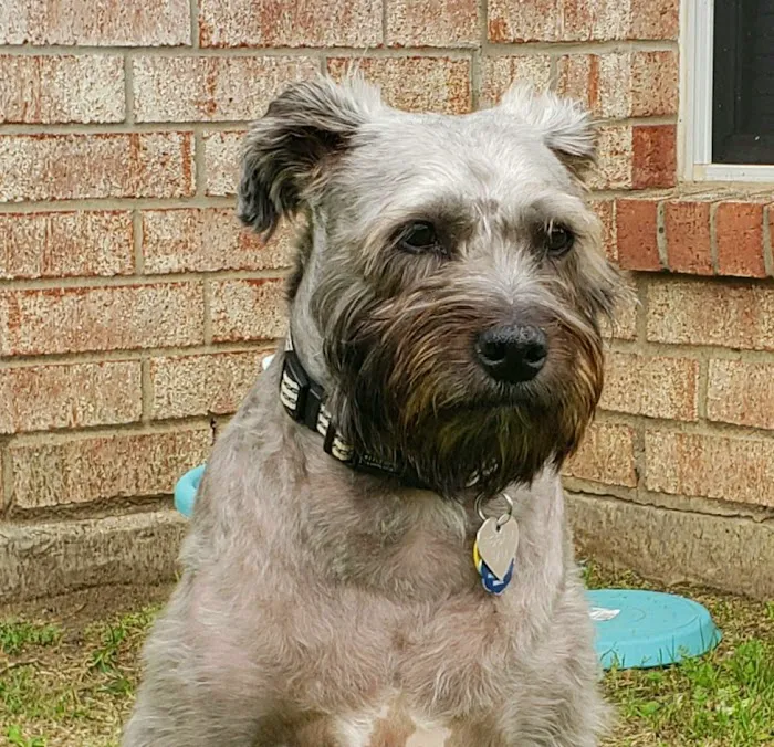 Veterinary Specialists of North Texas Picture 9