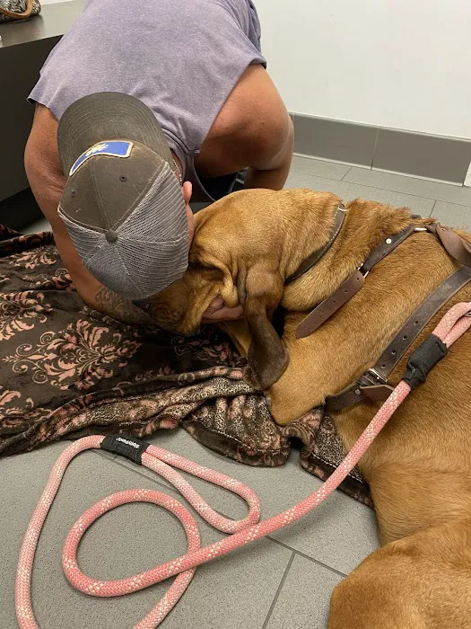 Fort Worth Animal Emergency Hospital Picture 7