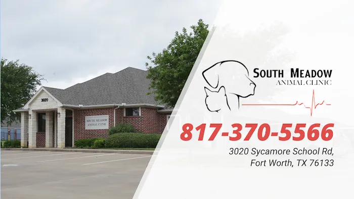 South Meadow Animal Clinic Picture 9