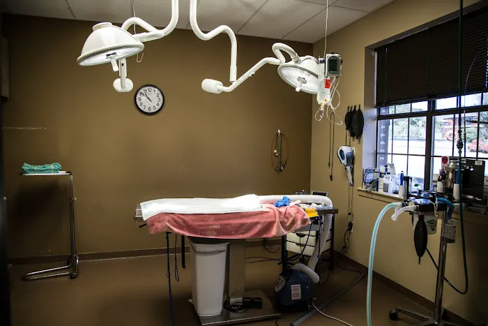 Denton Veterinary Center Picture 5