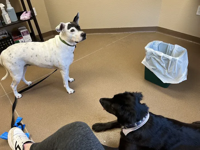 Denton Veterinary Center Picture 3