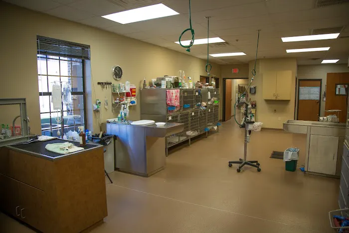 Denton Veterinary Center Picture 6