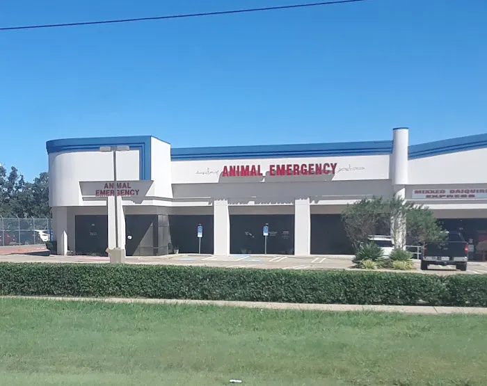 Denton County Animal ER Picture 4
