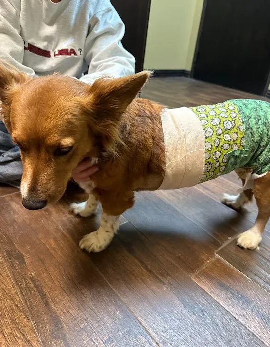 Denton County Animal ER Picture 3