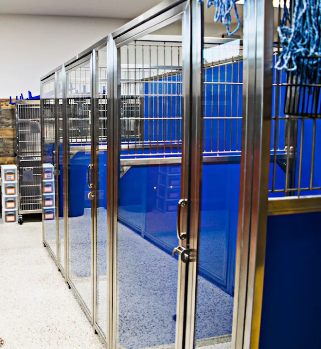 Krum Veterinary Hospital Picture 8