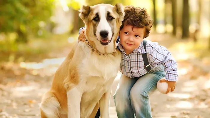 Krum Veterinary Hospital Picture 2