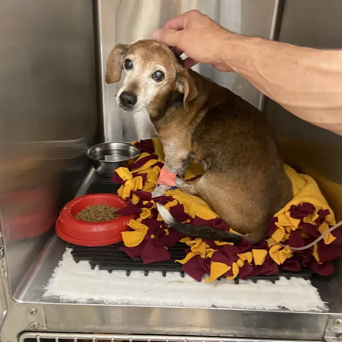 Denton Animal Hospital Picture 8
