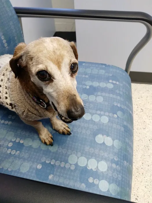 Southridge Animal Hospital Picture 5