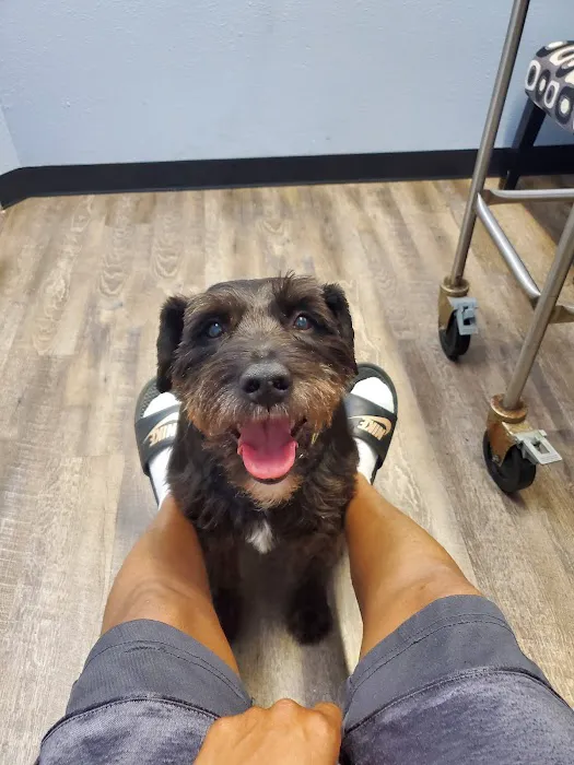 Guardian Pet Hospital and Lodge Picture 8