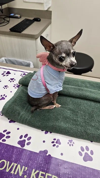 Corinth Veterinary Clinic Picture 3