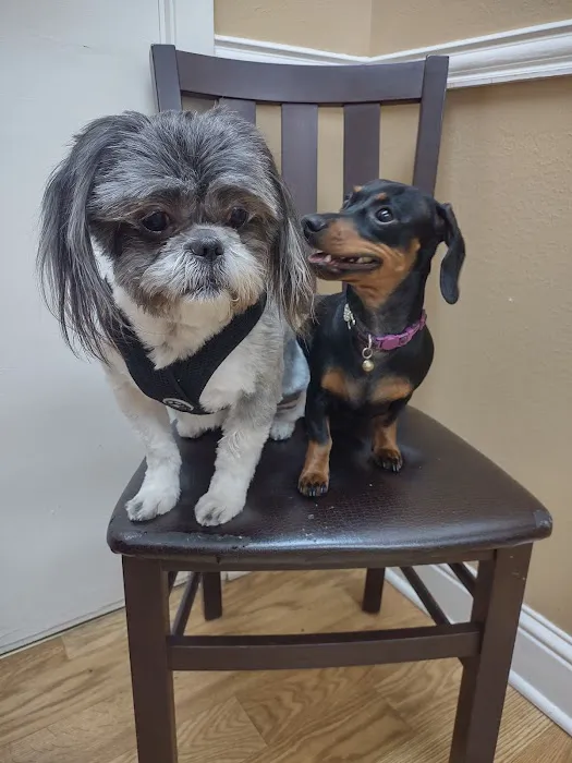 Lakeshore Animal Clinic - Boarding & Grooming Picture 7