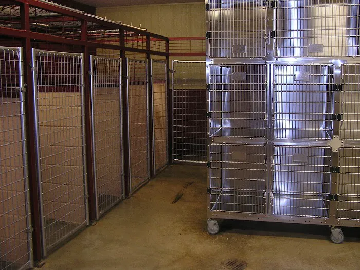 Lakeshore Animal Clinic - Boarding & Grooming Picture 5