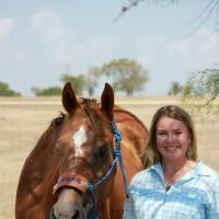 Lakeshore Animal Clinic - Boarding & Grooming ico