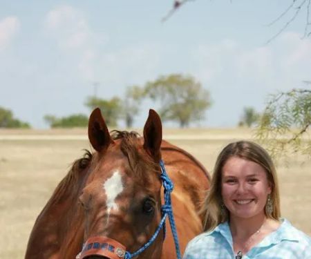 Lakeshore Animal Clinic - Boarding & Grooming