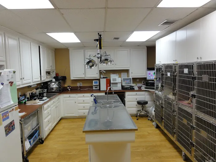 Lakeshore Animal Clinic - Boarding & Grooming Picture 9