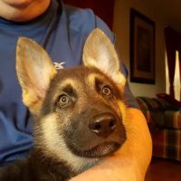 Eagle Mountain Veterinary Clinic ico