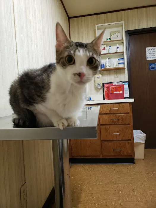Eagle Mountain Veterinary Clinic Picture 7