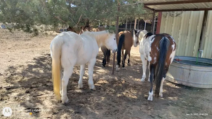 Eagle Mountain Veterinary Clinic Picture 9