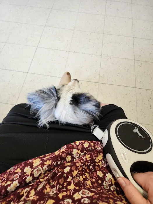 Azle Veterinary Medical Center Picture 4