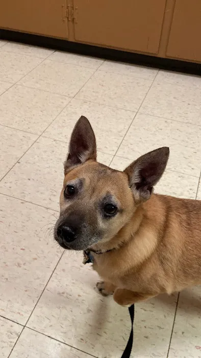 Azle Veterinary Medical Center Picture 5