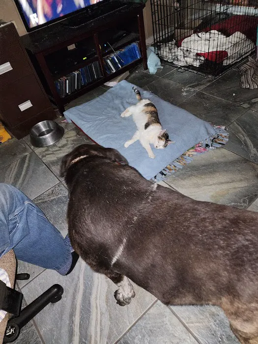 Azle Veterinary Medical Center Picture 6