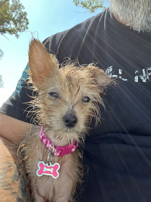 Azle Veterinary Medical Center Picture 10