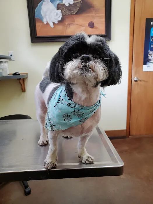 Lakeside Animal Hospital: Cornell Genny C DVM Picture 1