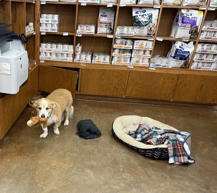 VCA Lakeside Animal Hospital Picture 5
