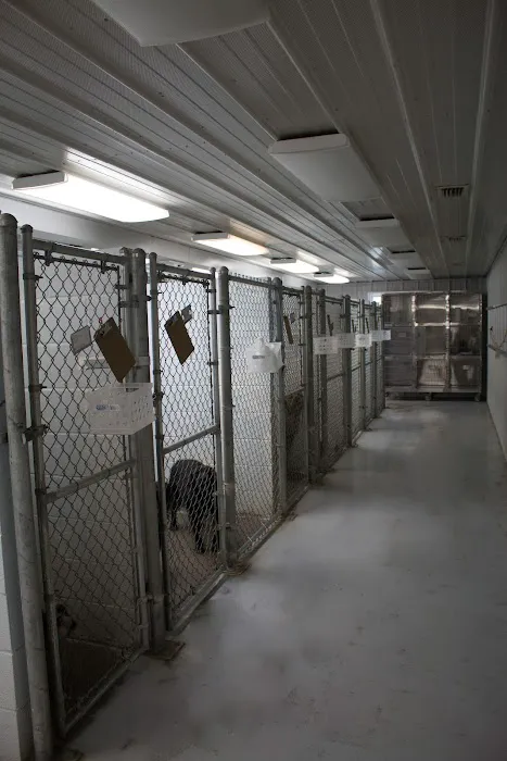VCA Lakeside Animal Hospital Picture 2