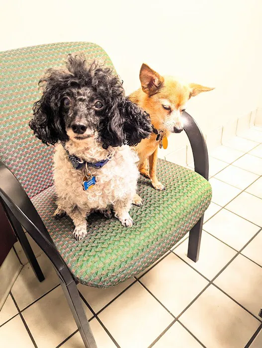 Humane Animal Medical & Surgical Hospital Picture 4