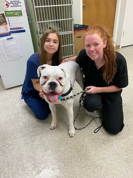Paws & Claws Animal Hospital and Holistic Pet Center Picture 1