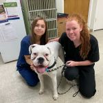 Paws & Claws Animal Hospital and Holistic Pet Center