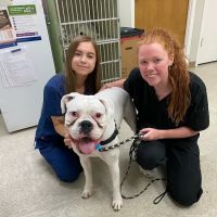 Paws & Claws Animal Hospital and Holistic Pet Center ico