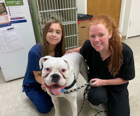 Paws & Claws Animal Hospital and Holistic Pet Center