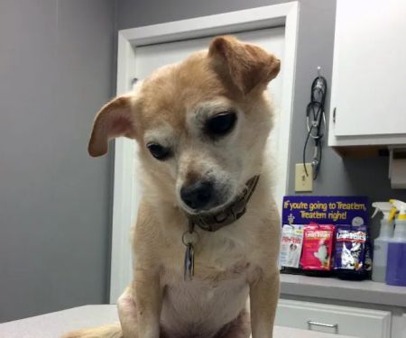 14th Street Animal Hospital