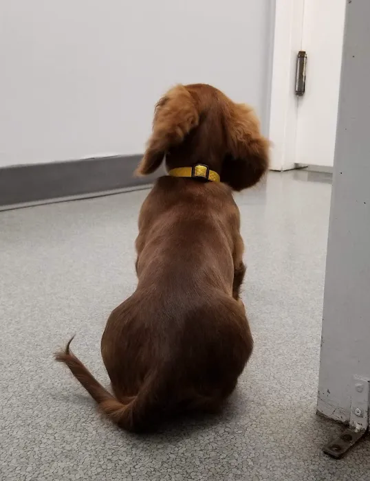 14th Street Animal Hospital Picture 8