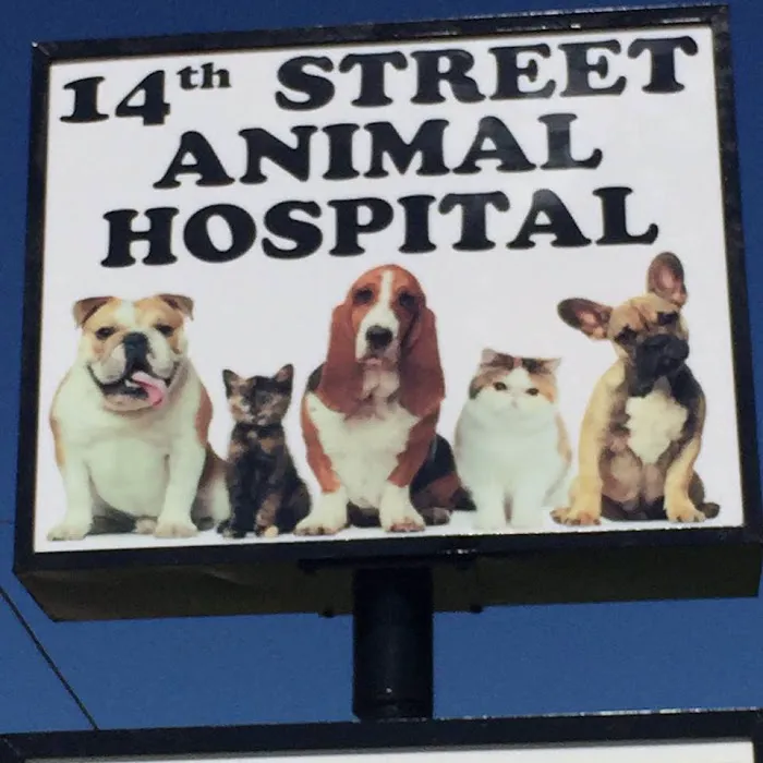 14th Street Animal Hospital Picture 2
