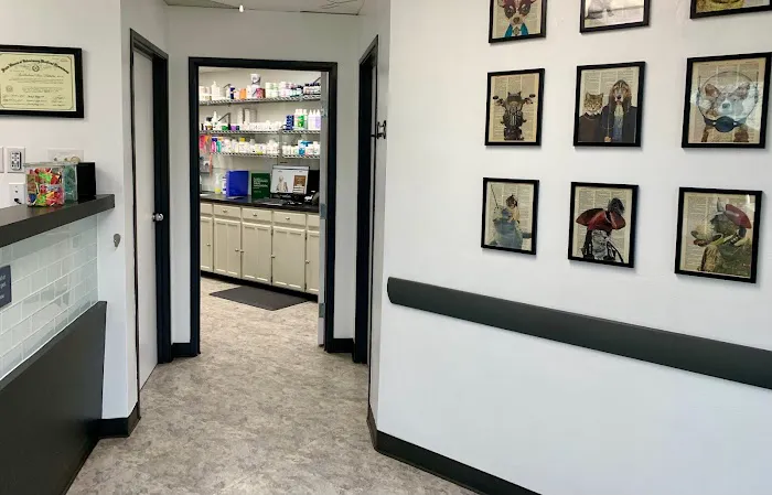 Plano Animal Clinic Picture 8