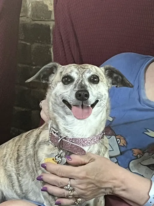 Plano Animal Clinic Picture 7