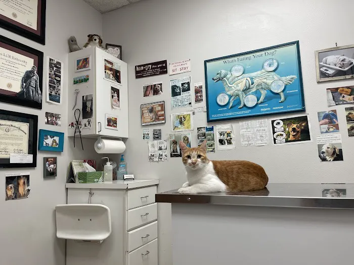 Parker Animal & Bird Clinic Picture 7